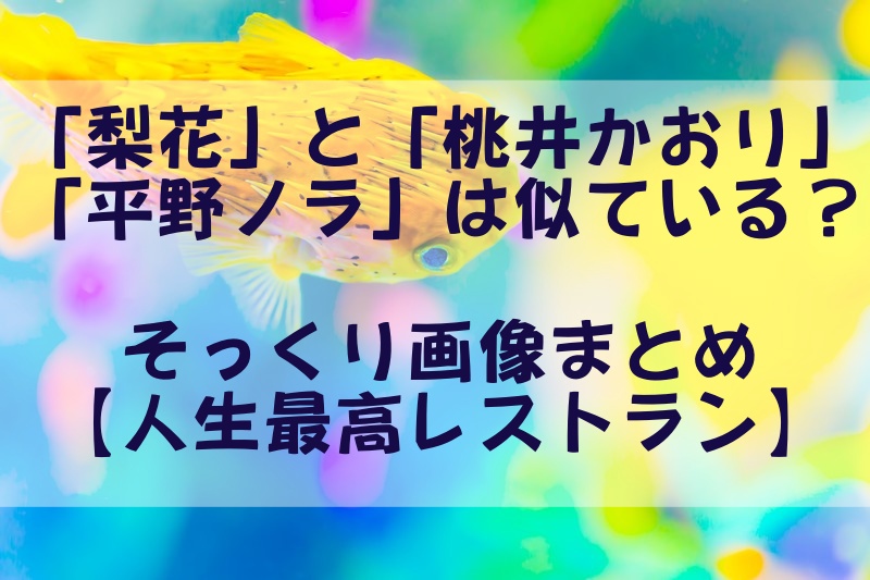 「梨花」と「桃井かおり」「平野ノラ」は似ている？そっくり画像まとめ【人生最高レストラン】
